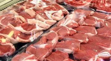 413 جنيهاً.. أسعار اللحوم اليوم في انخفاض ملحوظ الثلاثاء 4 نوفمبر 2025